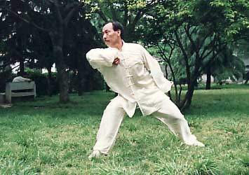 Grandmaster Zhang Zhi Jun